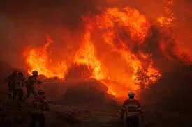Devastating Wildfire in Southern France: One Dead, Nine Injured