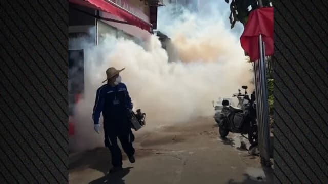 סין בכוננות עקב נגיף צ'יקונגוניה: אלפי מקרים