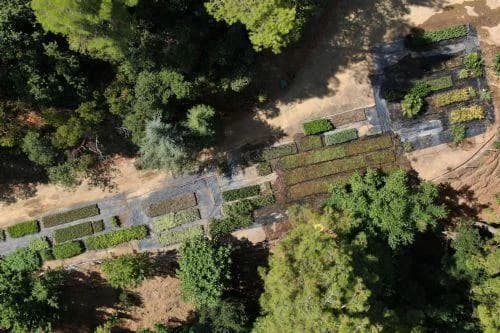Υπουργείο Γεωργίας: Ενέργειες για συμμόρφωση με την Ελεγκτική Υπηρεσία