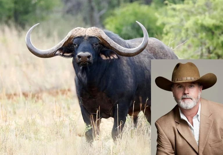 Sudáfrica: Búfalo mata a cazador millonario de Texas