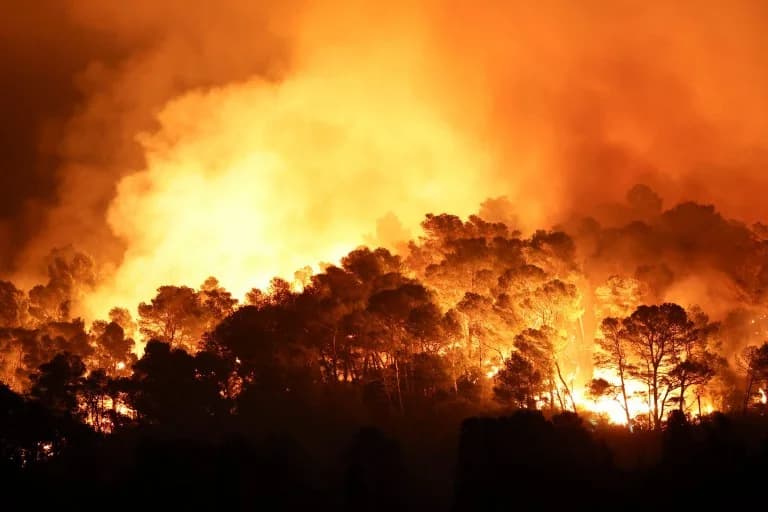 France: Massive Wildfire Devastates Forests and Villages