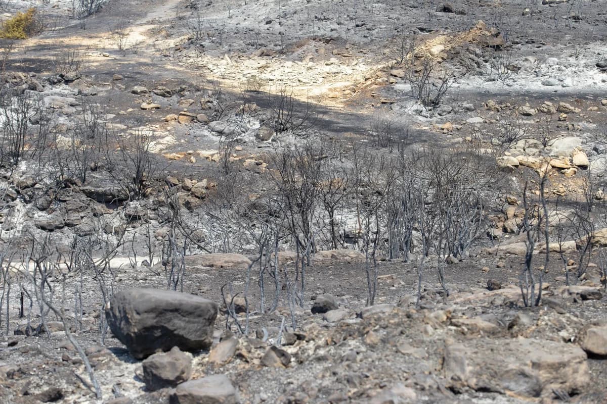 Expertos de la ATF llegan para investigar el incendio forestal de Limassol