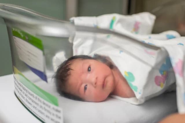 Japan's Population Shrinks at Record Rate in 2024