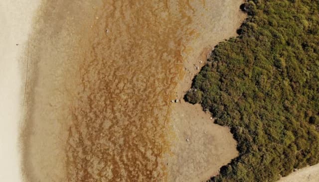 Dürre: 52 % der europäischen Flächen im Juli betroffen