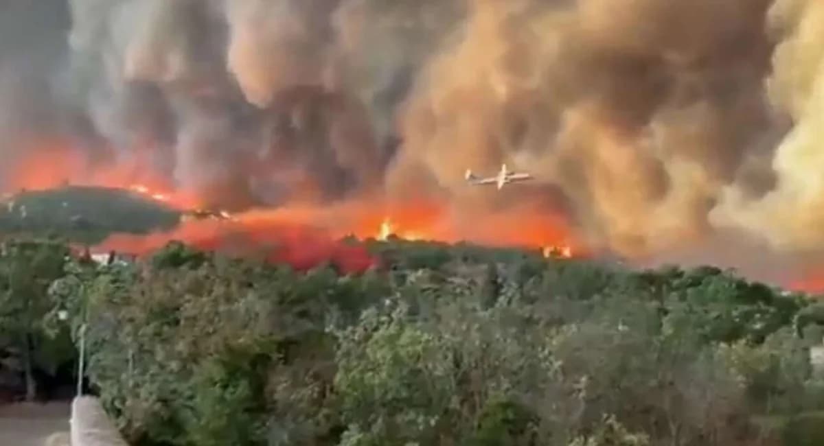 France: Wildfire Inferno Claims Life, Injures Others