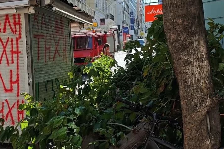 Athen: Baum fällt aufgrund starker Winde in der Ermou-Straße