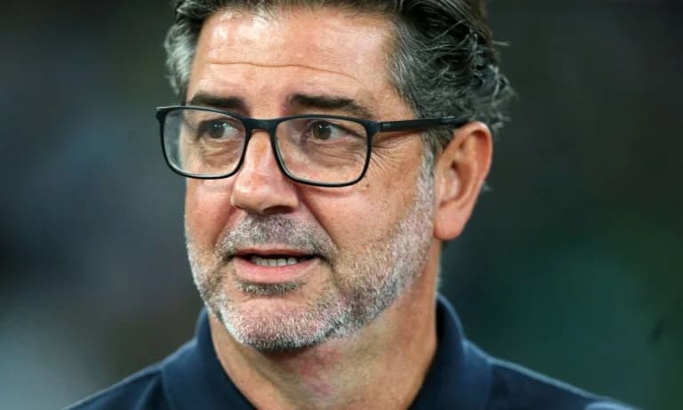 Rui Vitória: "We must be focused, competitive and effective"