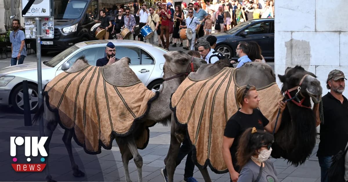 Hungary: Camel Caravan Protests Desertification