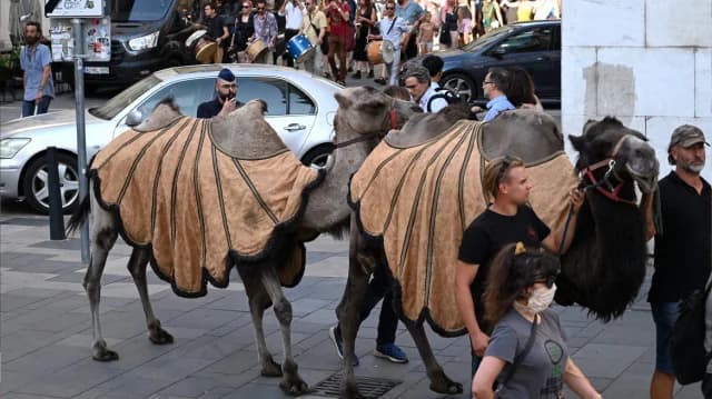 Διαμαρτυρία με καμήλες στη Βουδαπέστη για την ξηρασία