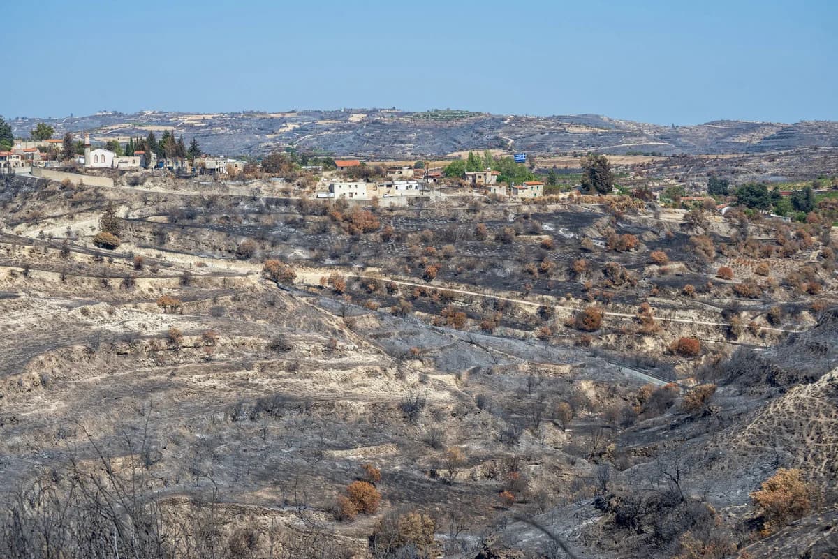 שרת החקלאות תבקר באזורים שנפגעו בשריפה בלימסול
