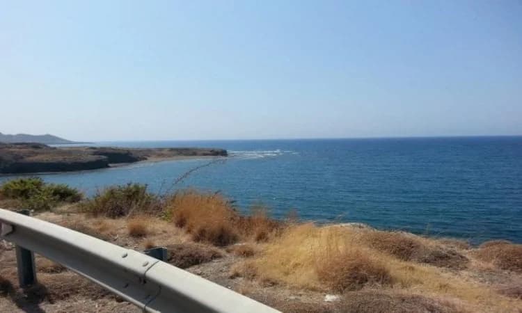 Concerns over Desertification in Tillyria – Call for Support