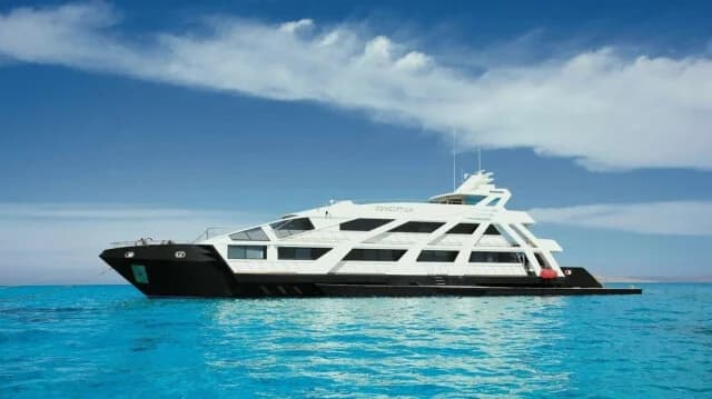 "Conceptum": From Luxury Cruises to Auction Block