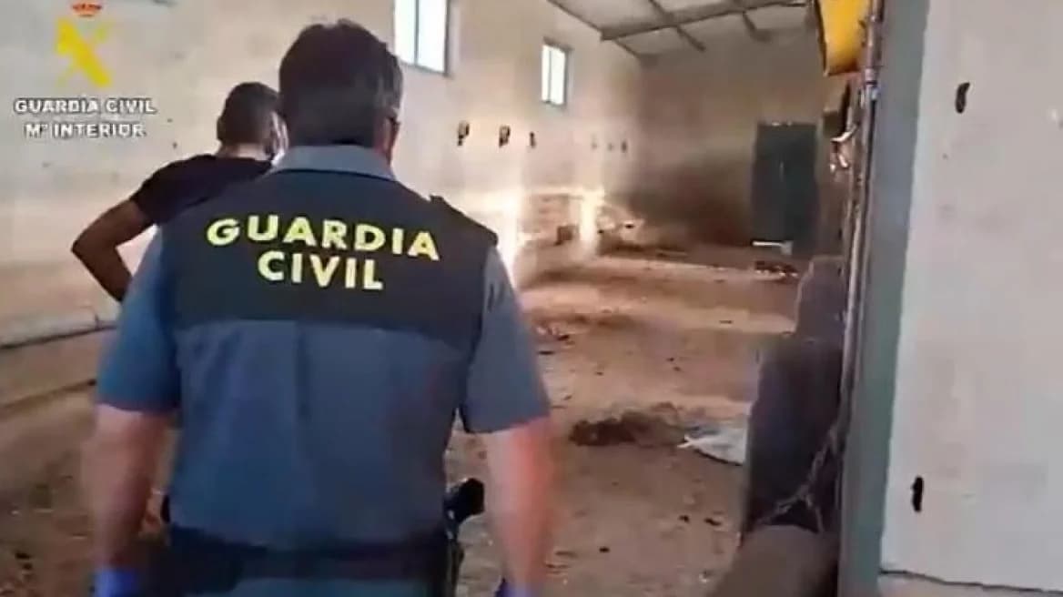 Ισπανία: 32 σκύλοι νεκροί από ασιτία σε εγκαταλελειμμένο αγρόκτημα