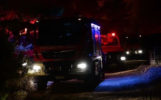 שריפה ברוצי, ארקדיה: פעולת כיבוי אש בשטח יער