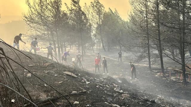 Dardanellen-Waldbrand: Außer Kontrolle – Evakuierungen und Krankenhaus in Gefahr