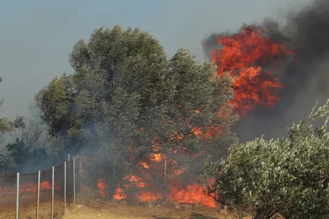 Κ. Τσίγκας: «Πολύ έντονη η δυναμική της πυρκαγιάς στην Ανατολική Αττική»