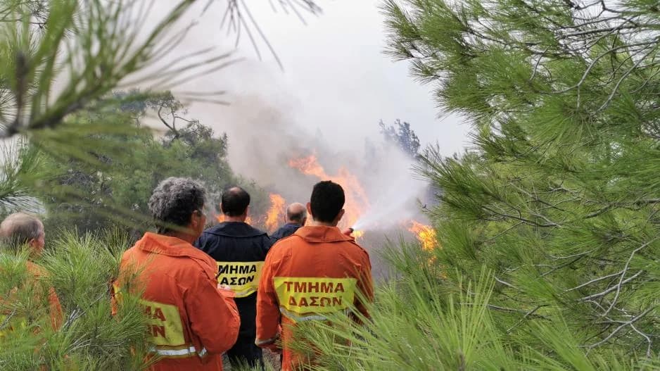 Hohe Waldbrandgefahr: Forstamt gibt rote Warnstufe aus