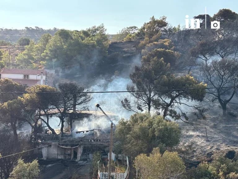 Keratea Fire: Arson Allegations – Gas Canister Found