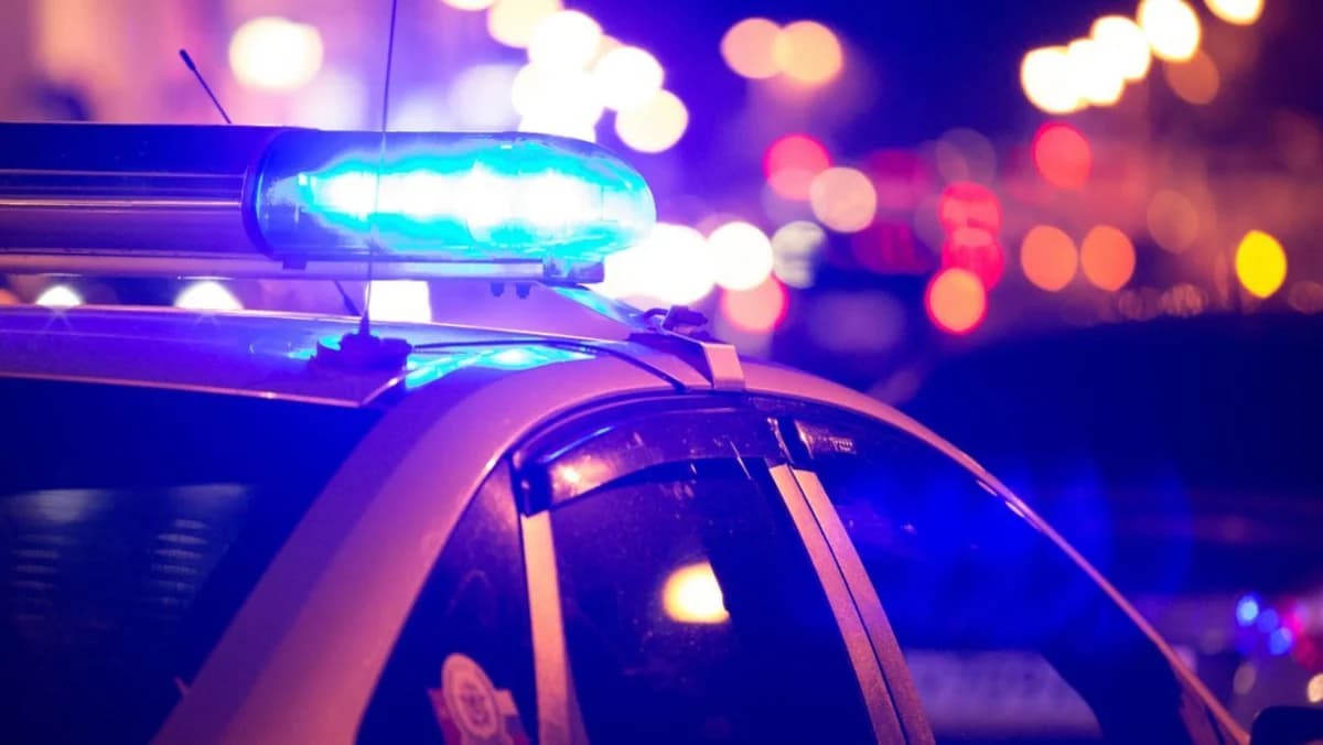 法马古斯塔区谋杀未遂案：嫌疑人和受害者为同事