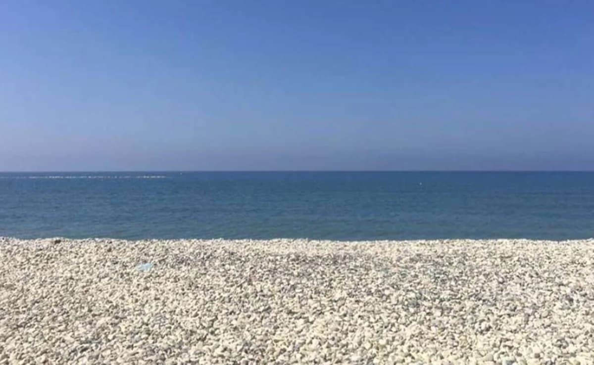 Υψηλό μικροβιολογικό φορτίο στην παραλία Αγίας Βαρβάρας στον Άγιο Τύχωνα
