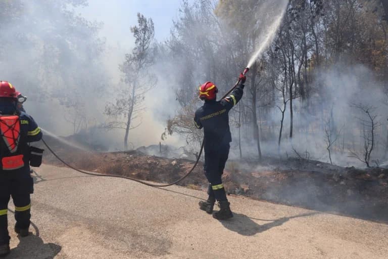 ΠΑΣΟΚ: Κριτική για την έλλειψη πρόληψης στις πυρκαγιές σε Κερατέα και Ηλεία