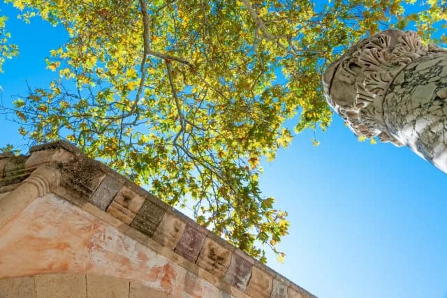 חופשה בקוס: החוויות הטובות ביותר באי של היפוקרטס