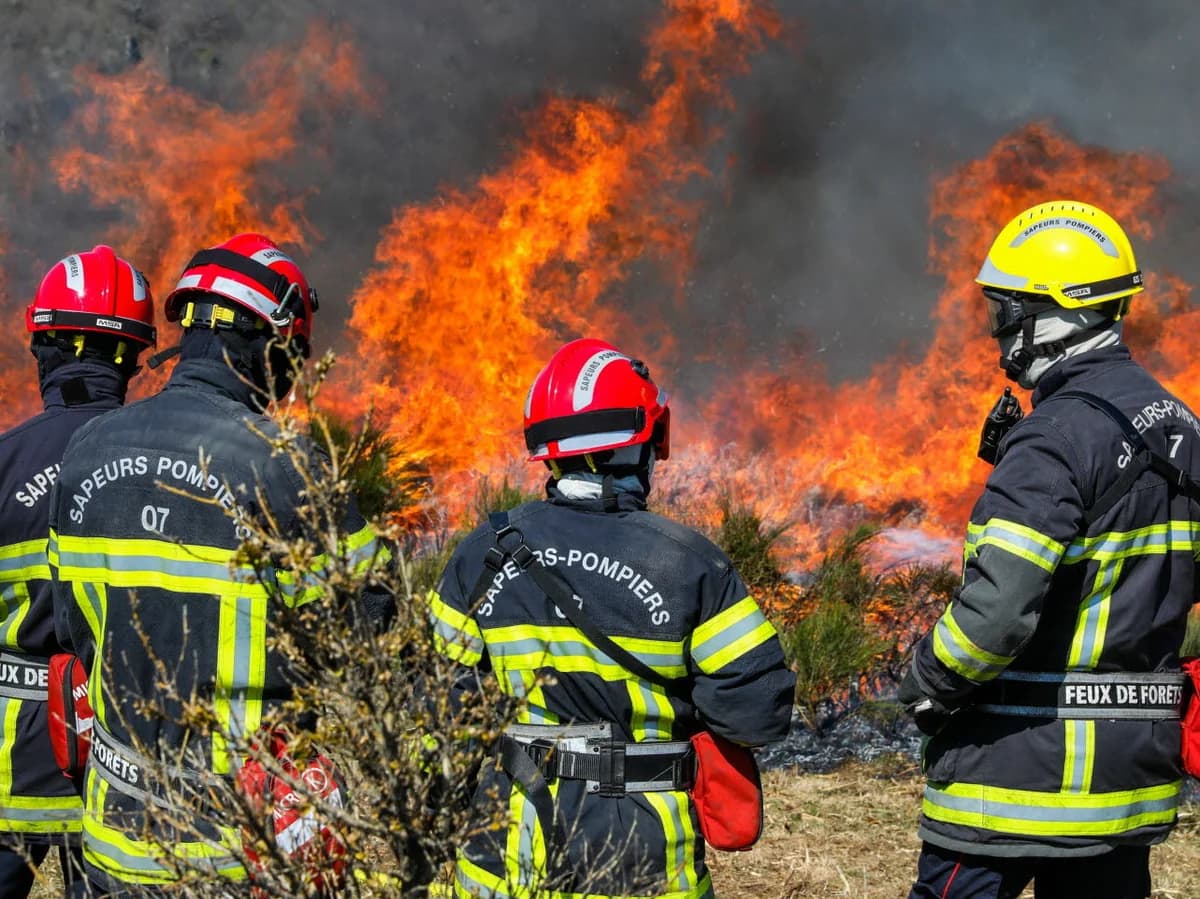 איחוד שירותי הביטחון: דוגמאות מרחבי העולם