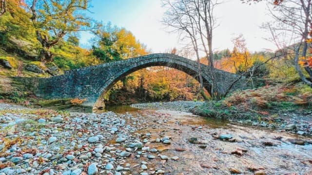 Investigación innovadora en Ioannina para salvar los plátanos