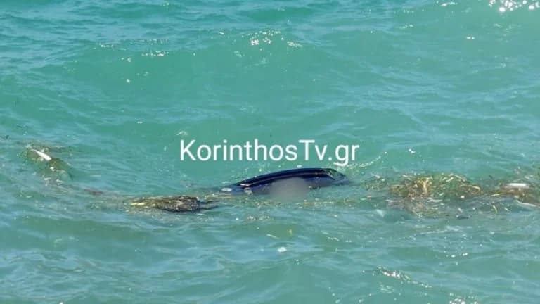 Corinto: Coche cae al mar – Muere el conductor