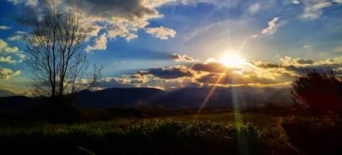 Alerta Naranja por Altas Temperaturas – Alerta Roja por Incendios