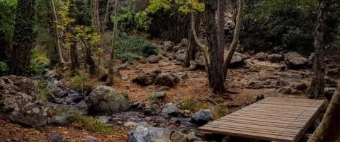 Fines for Illegal Camping in State Forests