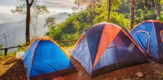 Forest Department: Camping ban in state forests reminder