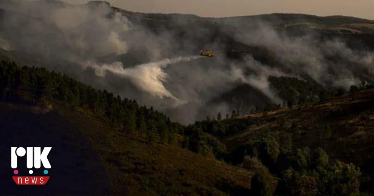 Major Wildfires in Spain, Italy, and Portugal