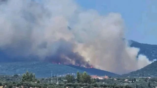 Feuer in Petralona, Messenien: 112-Alarm ausgelöst