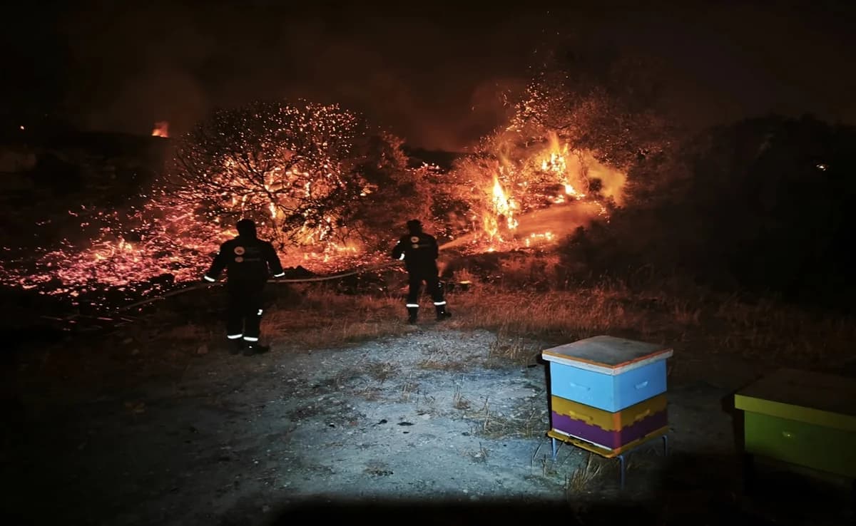 Christofinas: Objetivo, el retorno a la normalidad en las zonas afectadas por el fuego