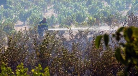 Líder Comunitario de Omodos Apela al Apoyo del Agroturismo en Áreas Afectadas por Incendios