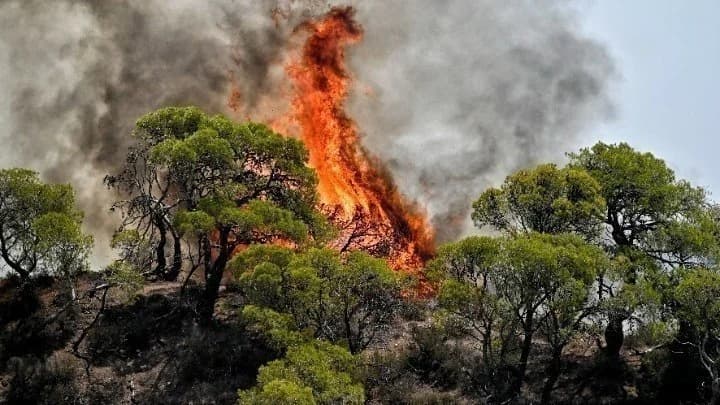 Πύρινα μέτωπα σε όλη τη χώρα – Μηνύματα 112 σε Μεσσηνία και Κορινθία