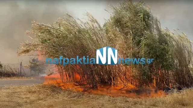 Feuer in Galatas, Ätolien-Akarnanien – 112-Alarm ausgelöst