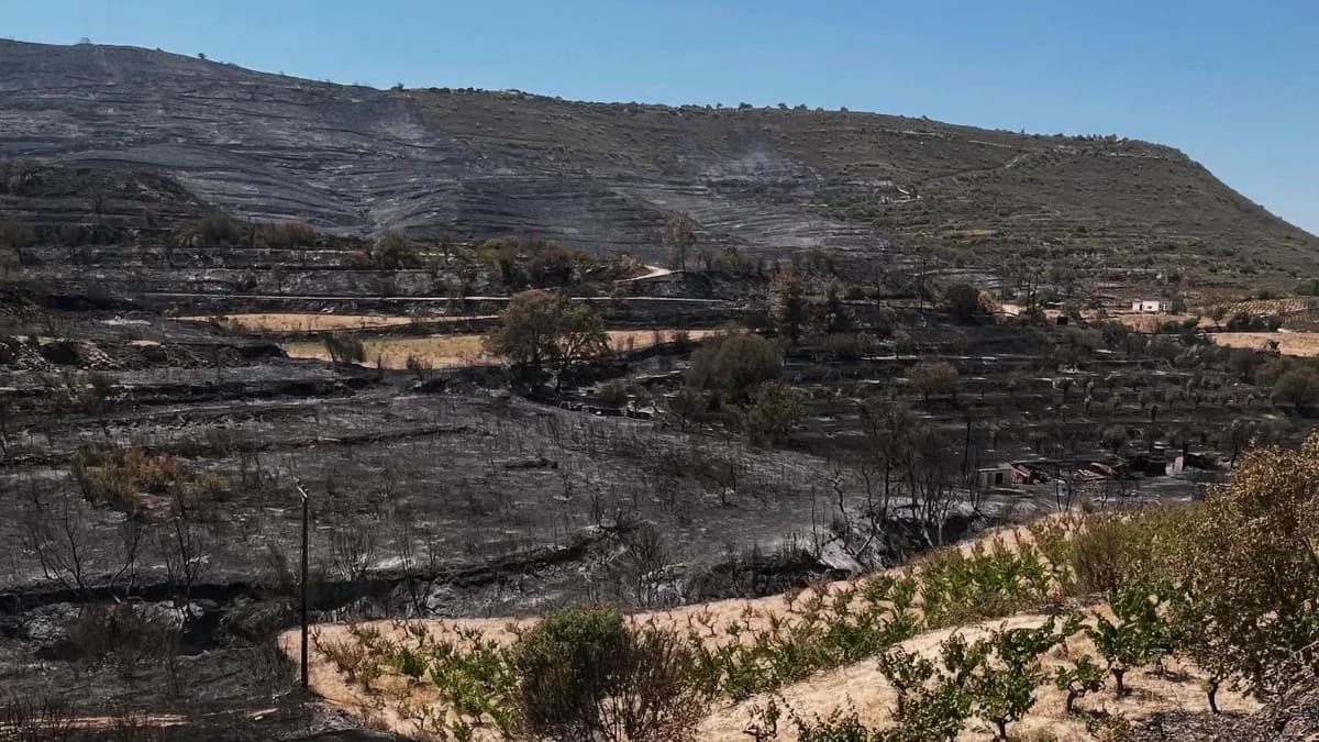 Cyprus: €139,622 Paid for Fire-Affected Workers' Salaries in Limassol