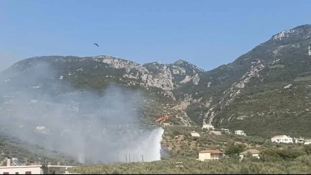 Φωτιά στην περιοχή Ριζά Μεσσηνίας – Επιχείρηση κατάσβεσης με εναέρια μέσα