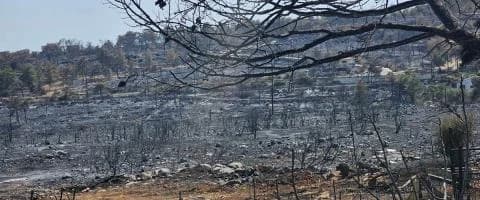 Áreas Afectadas por el Fuego en Limassol: Esfuerzos de Recuperación y Restauración