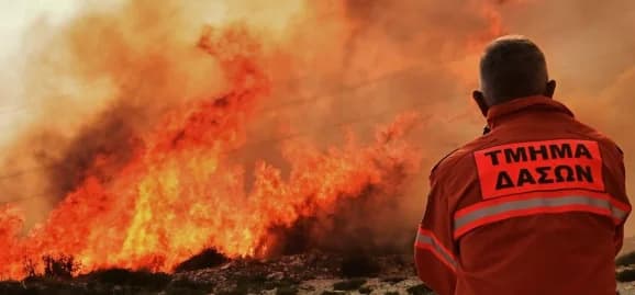 Waldbrandgefahr bleibt auf 'Roter Alarm' – Appell der Forstbehörde
