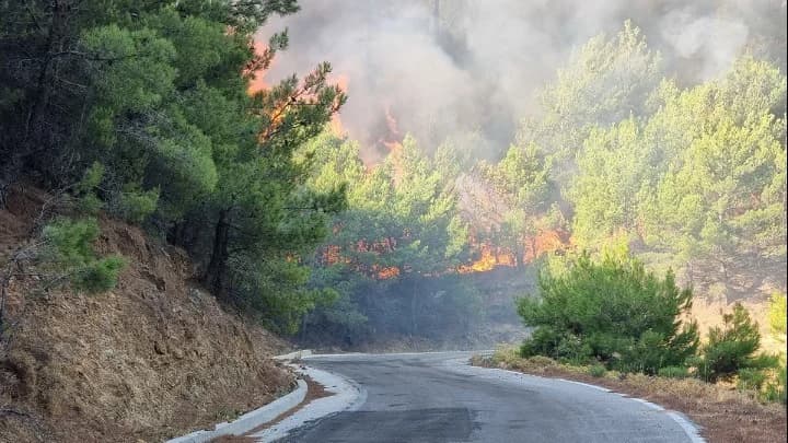 Εκ νέου σε πύρινο κλοιό η Ελλάδα: Φωτιές σε Πρέβεζα, Ζάκυνθο, Αχαΐα και Χίο
