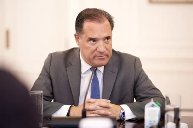 Γεωργιάδης: Ψευδής η είδηση για φωτιά στο Καραμανδάνειο
