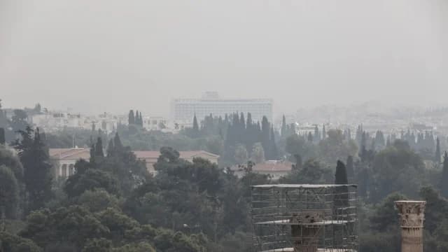 Incendios forestales y salud: riesgos y protección para grupos vulnerables
