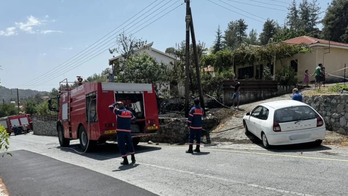 Fire Near House After Tree Branch Falls on EAC Cables