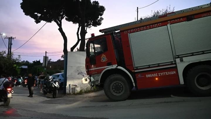 Fires Subsided in Achaia, Preveza, Chios and Zakynthos