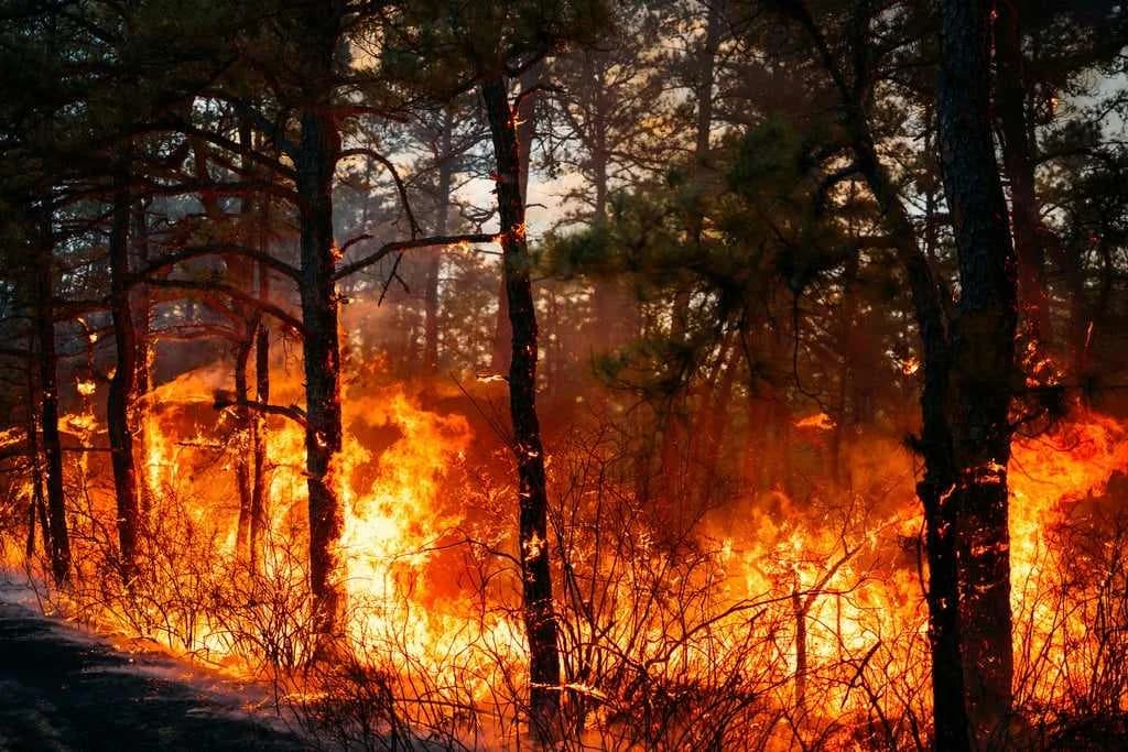 El Mecanismo de Protección Civil de la UE activado 16 veces por incendios