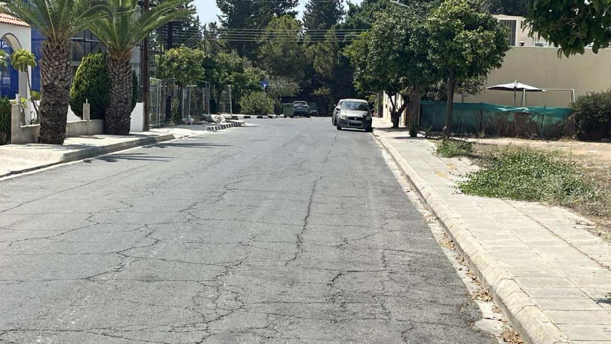תמונות מזעזעות: חזיר נשחט וראשו הושלך לשכונה