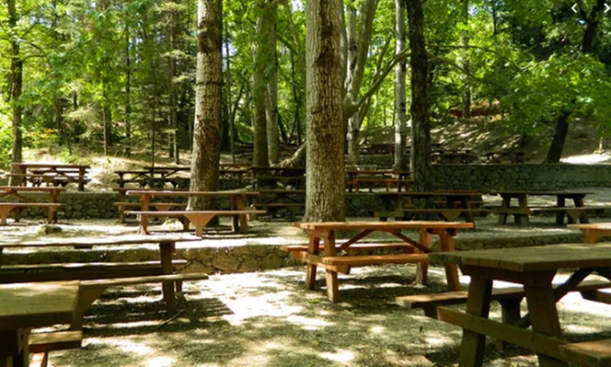 Picnic Site Availability for August 15th